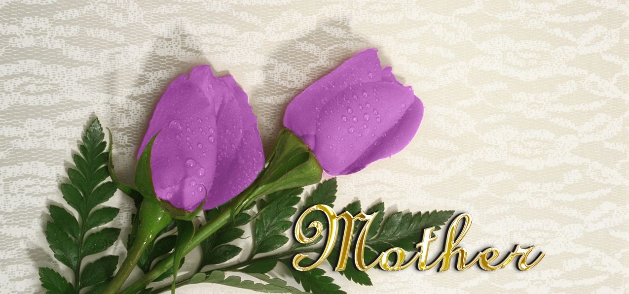 P 052 M GD 2 Roses Lavender Mother Gold Text